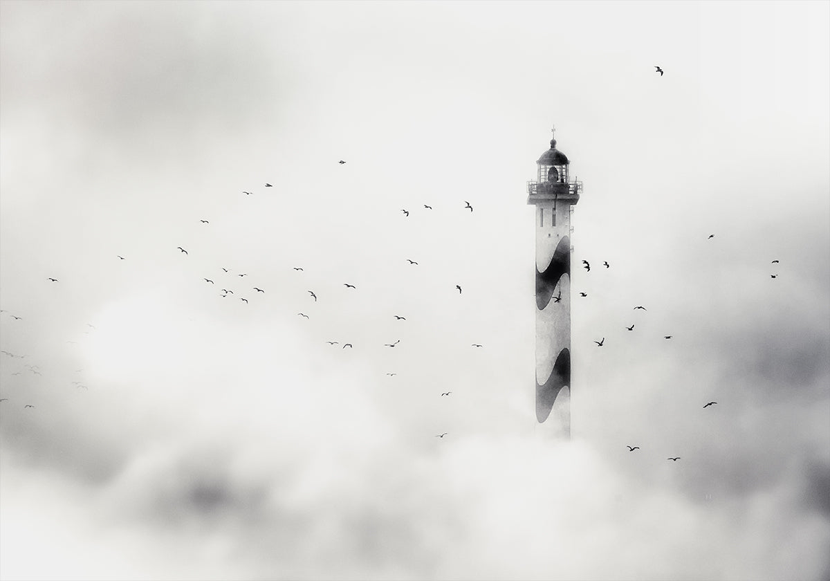 de mist