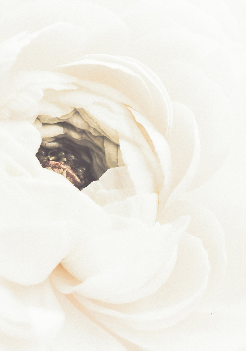 Witte bloem nr. 1 poster
