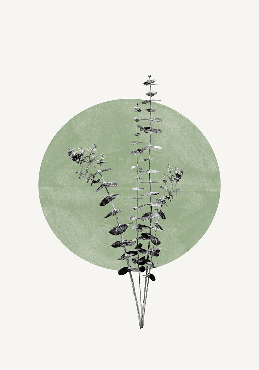 De Echo-poster van de natuur