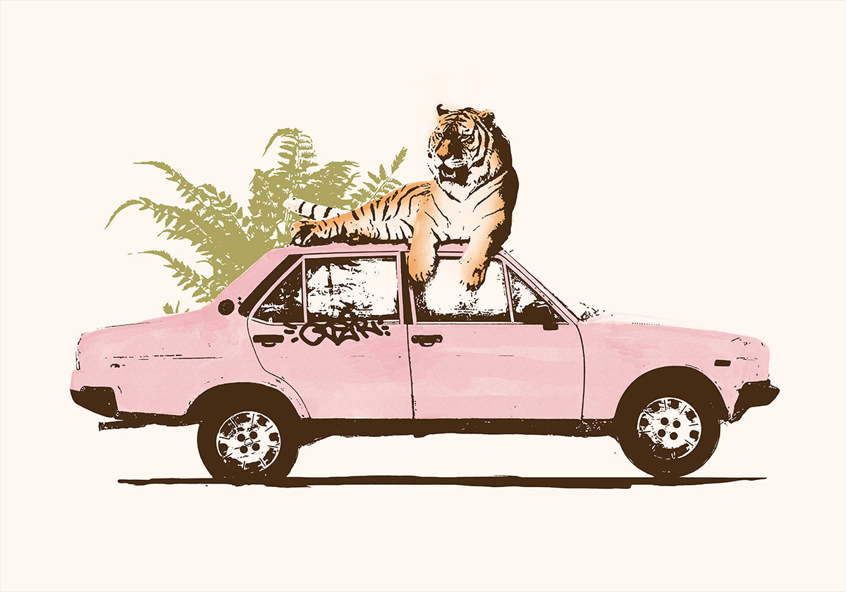 Tijger op auto