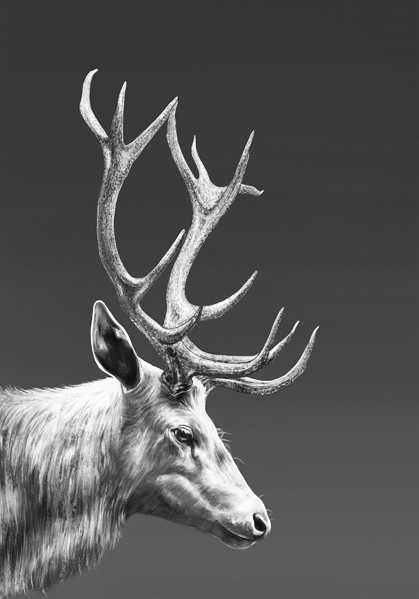 Rendierenposter