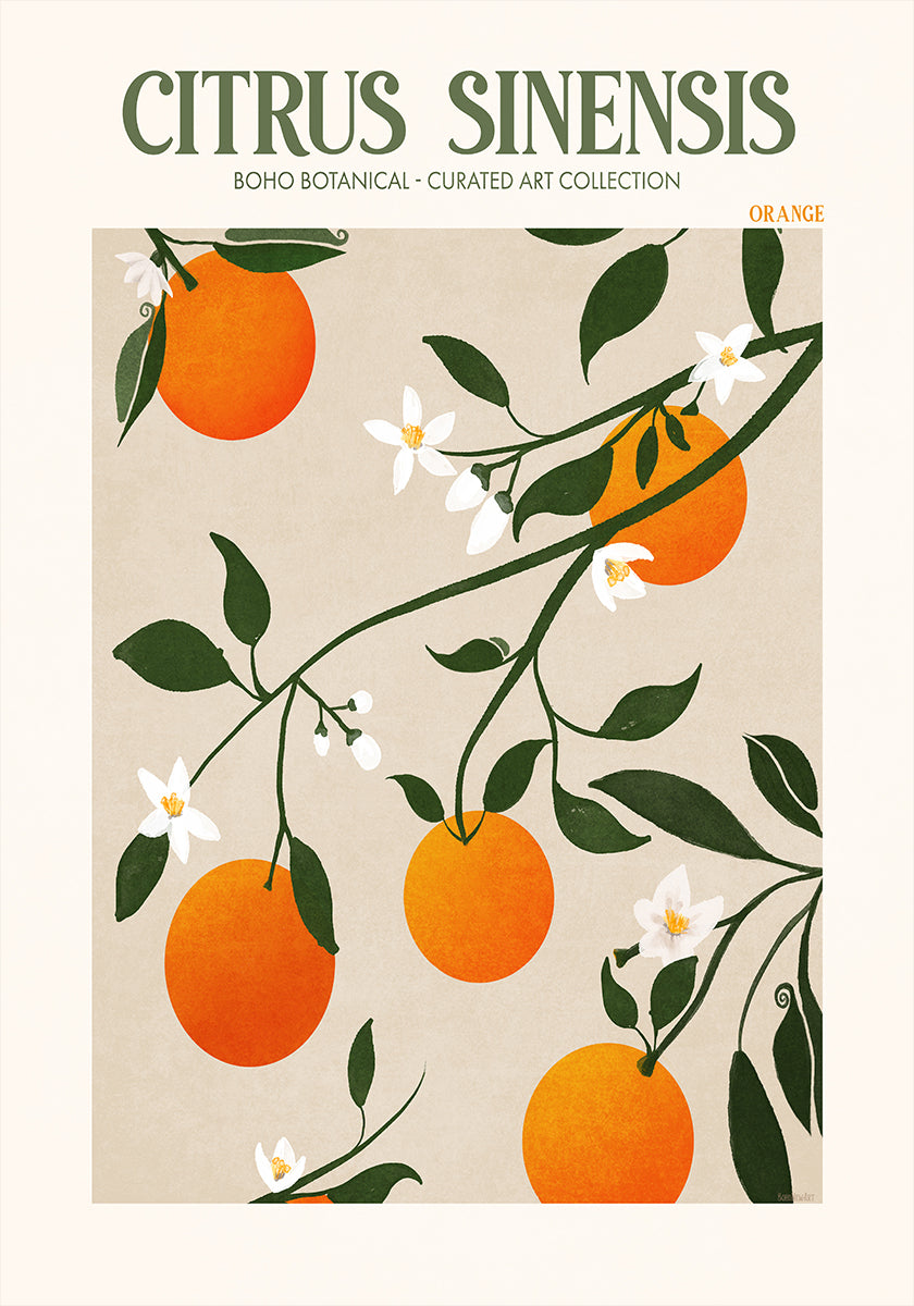 Oranje elegantie poster