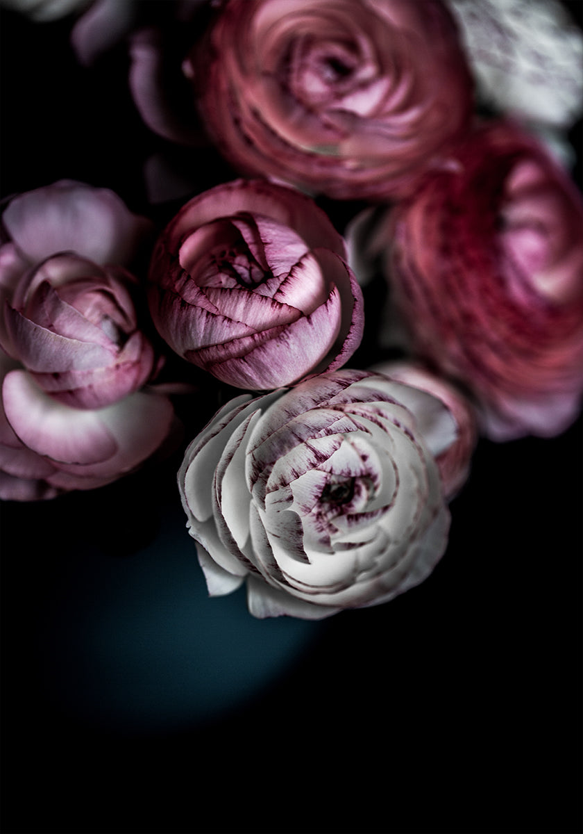 Donkere bloemen 2