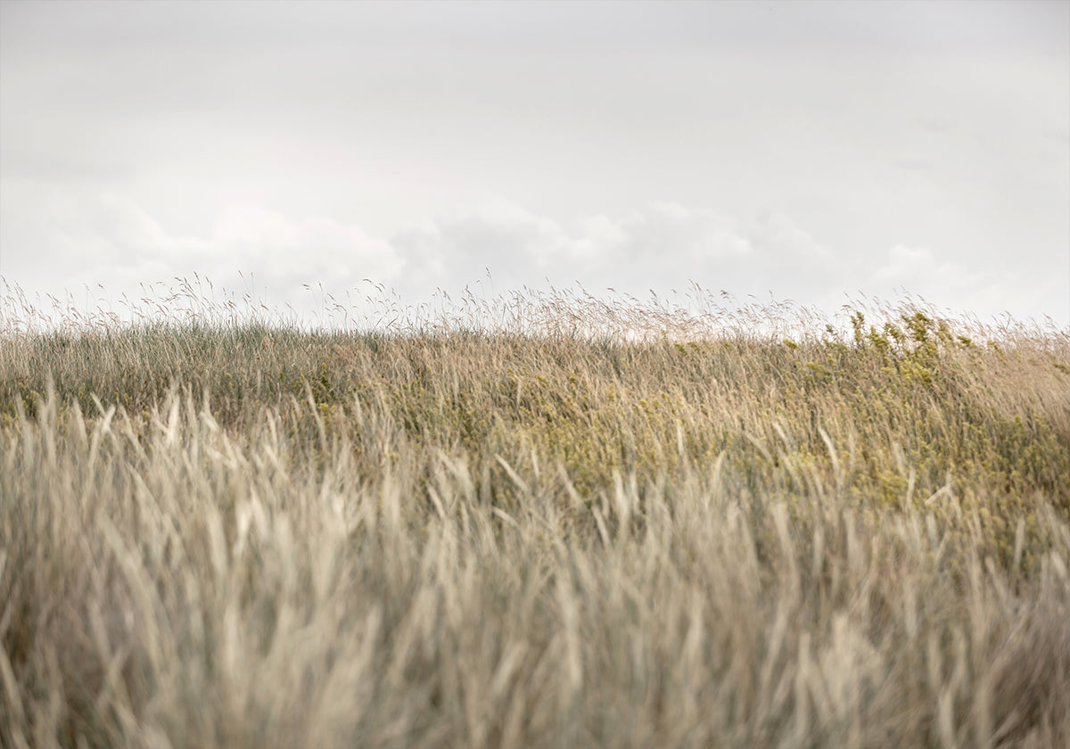 Duinen en wolken 2