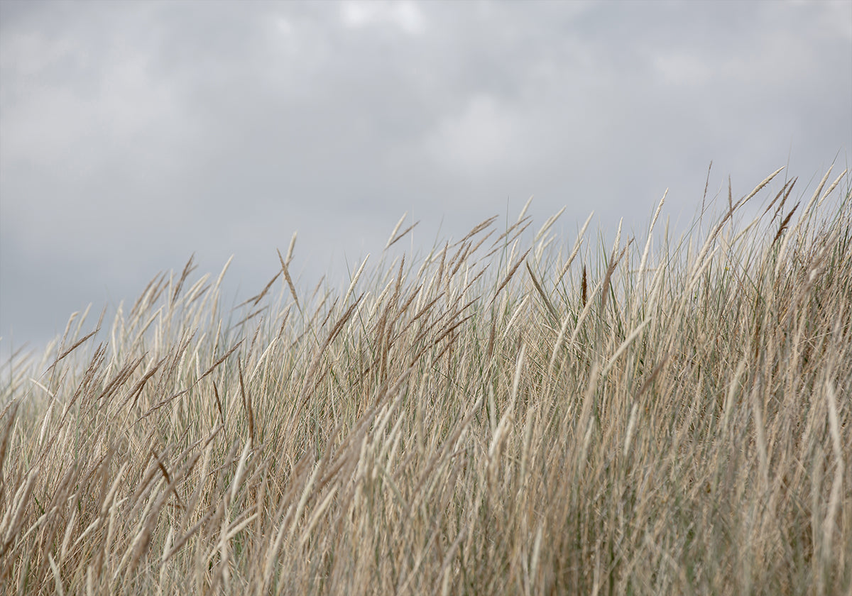 Duinen en wolken