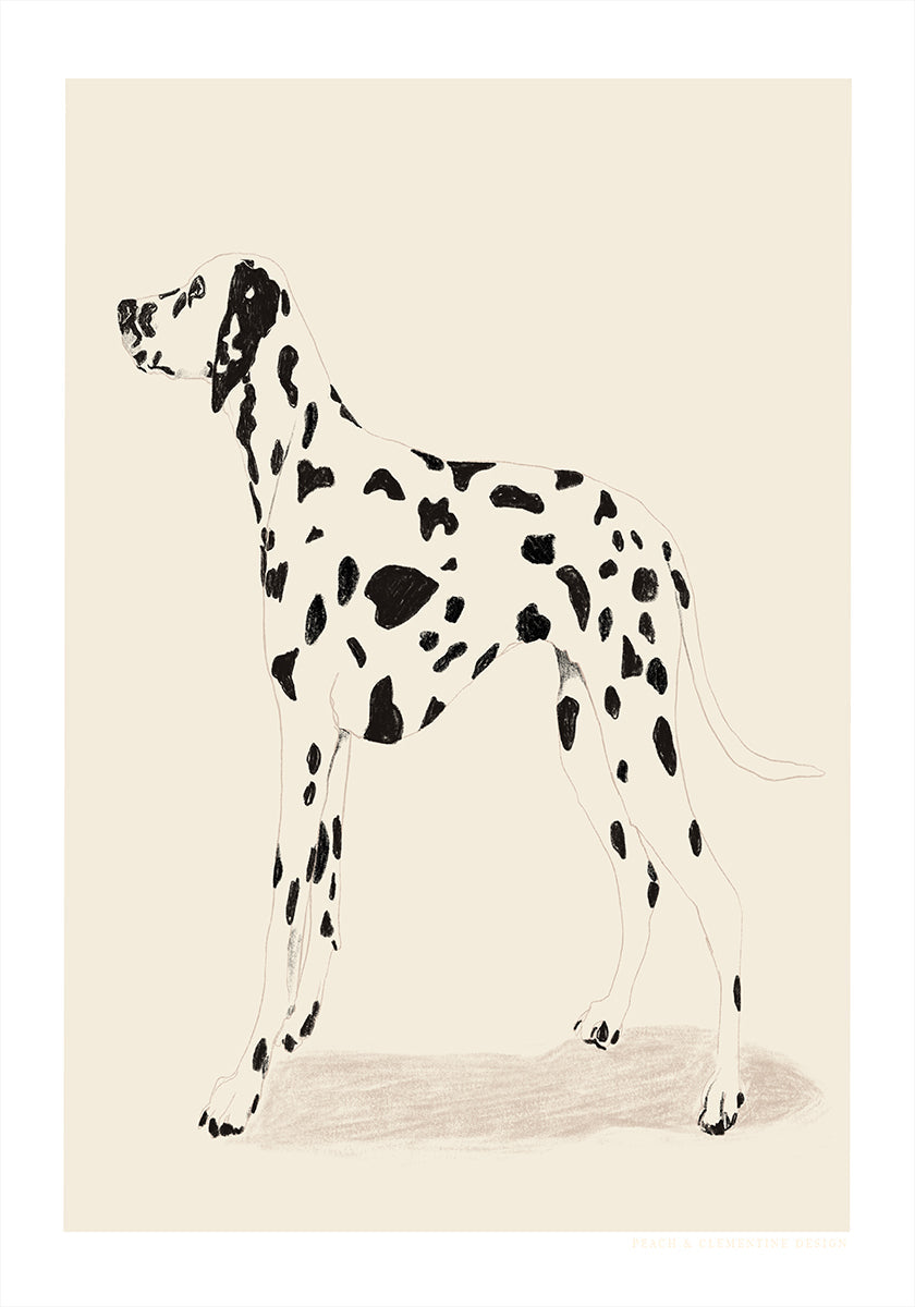 Pandc Dalmatische poster