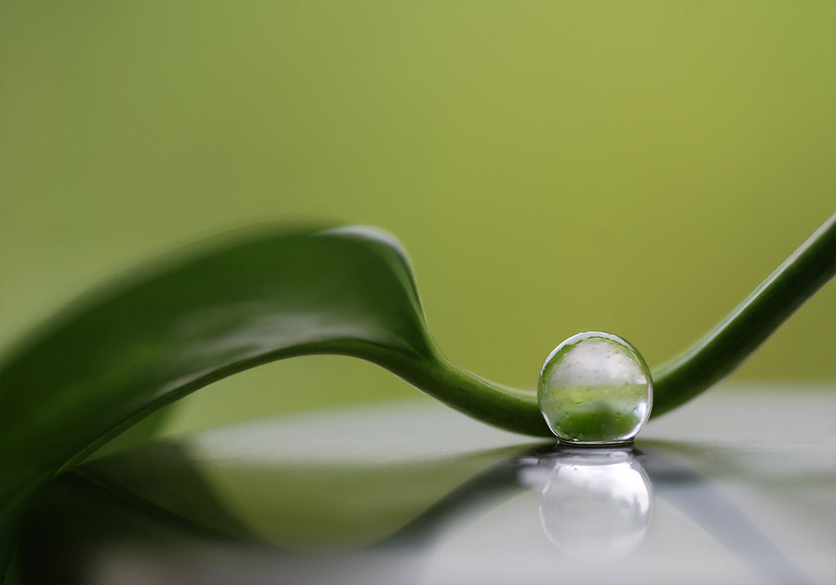 Groene harmonie