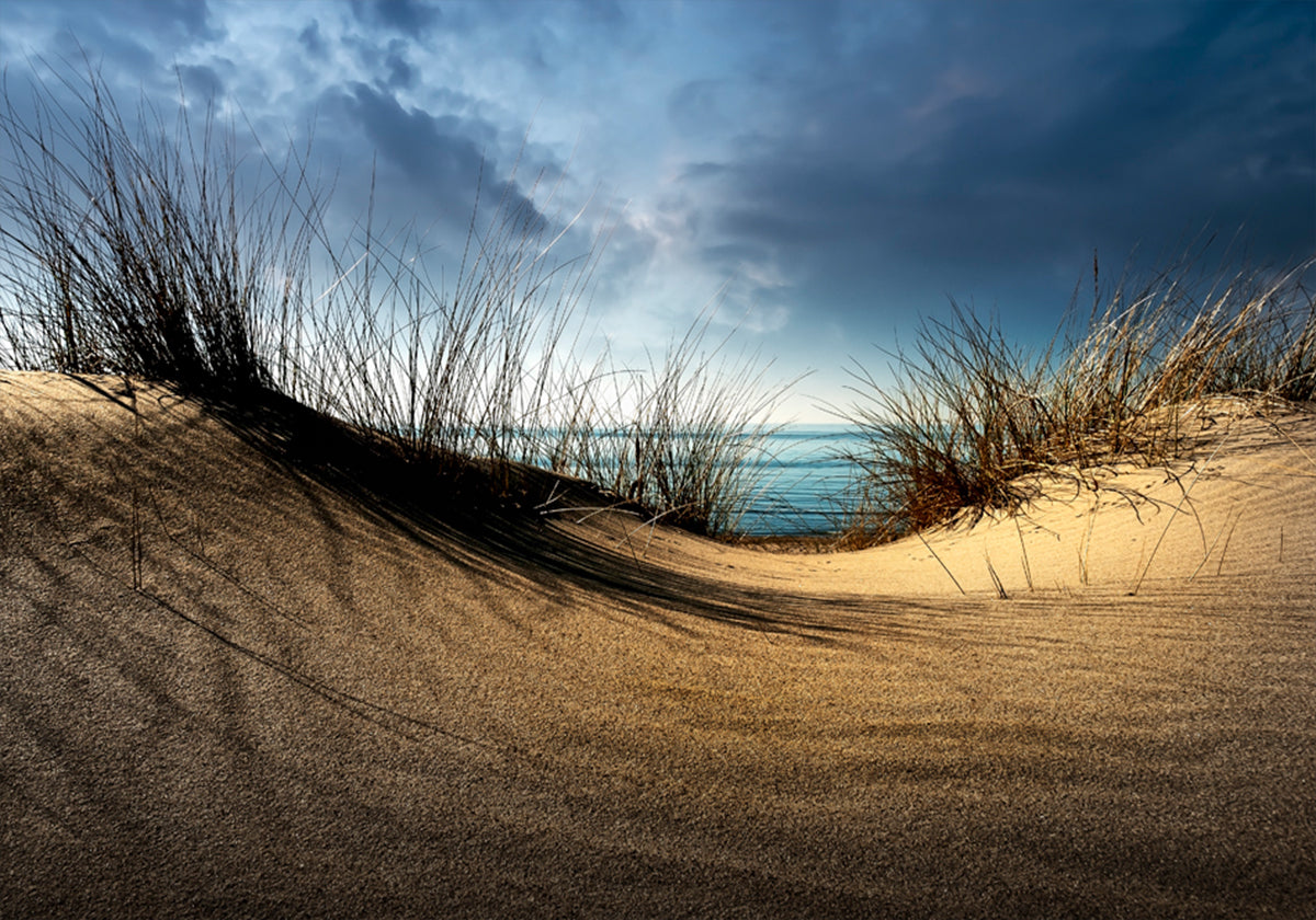 Duinen..........