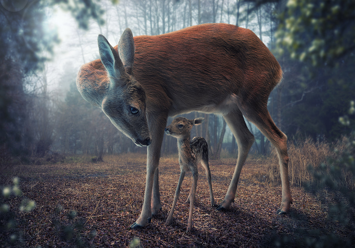 Moeder en Fawn
