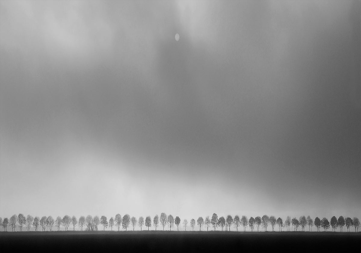 Polder landscape