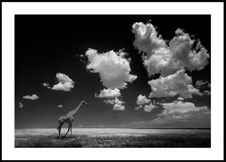 Weg met de wolken