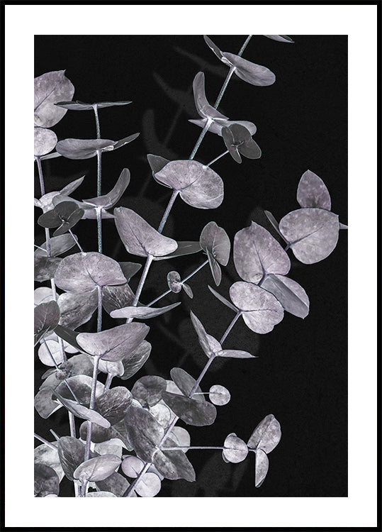 Eucalyptus negatief nr. 3 poster