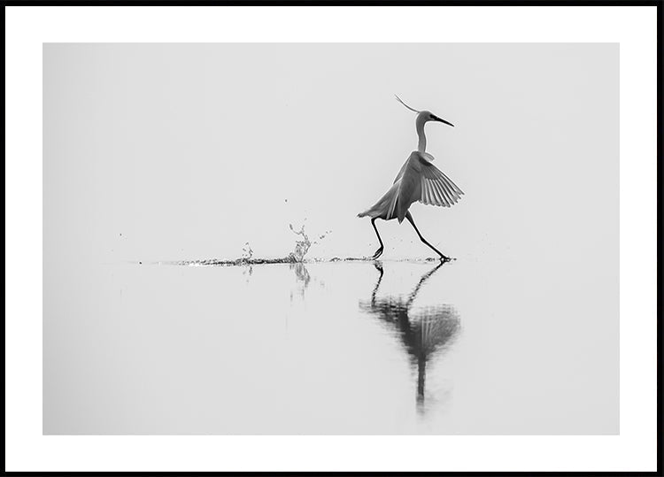 Poster "Dansen op het water".