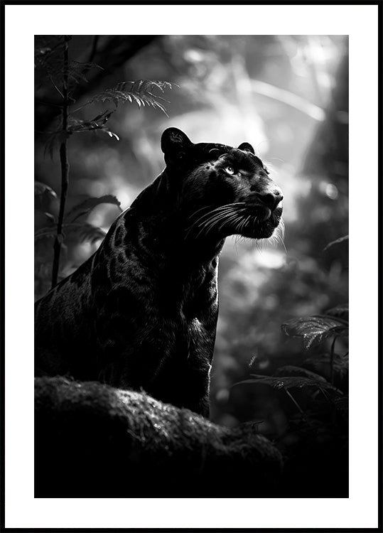 Majestueuze Black Panther-poster