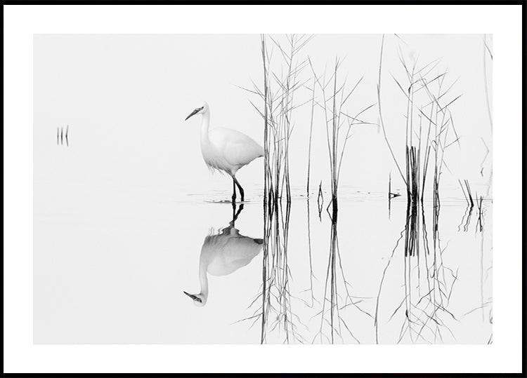 witte affiche