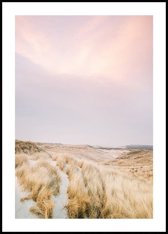 Ameland Duinen 1 (NIEUW)