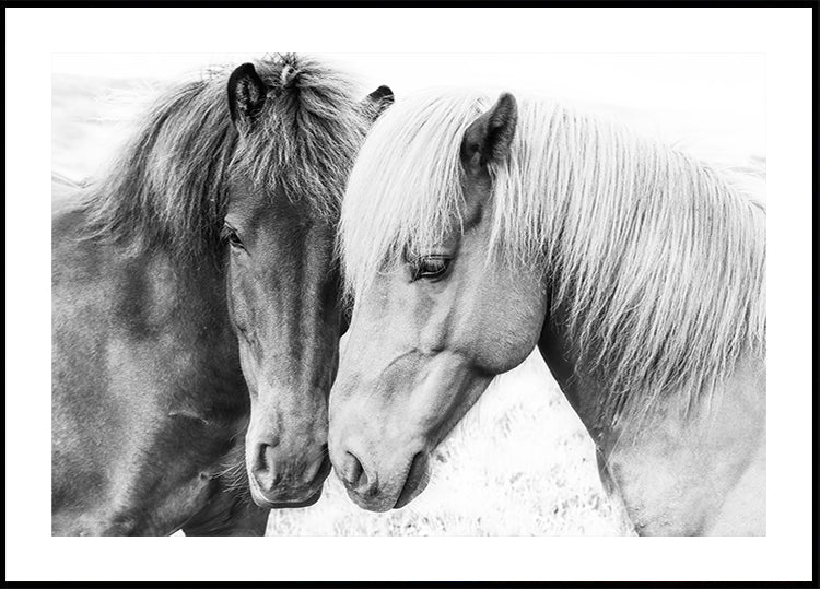 Paard liefde poster