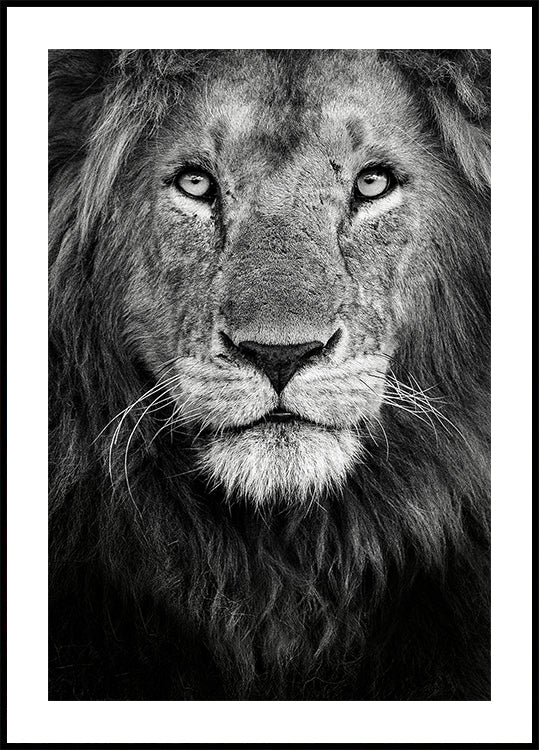 Koninklijke portretposter