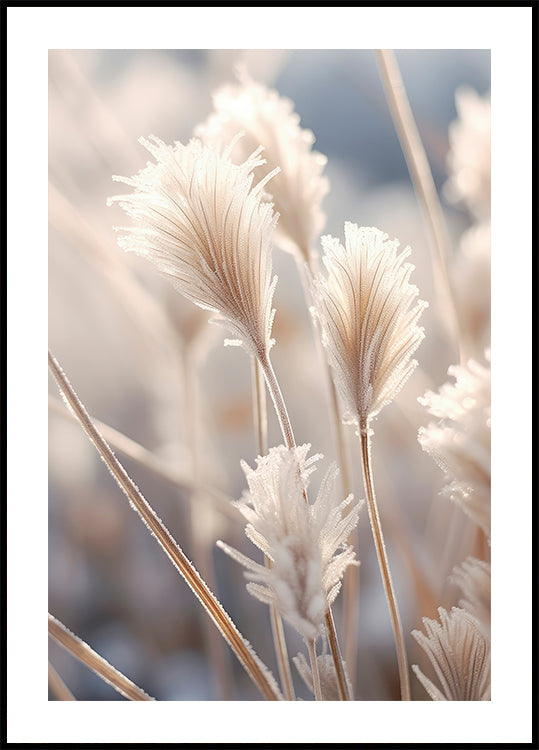 Frosted elegantie poster