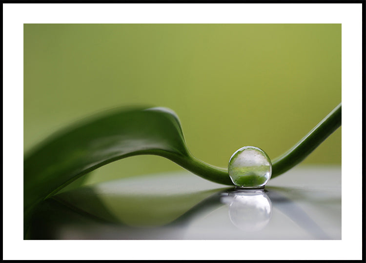Groene harmonie