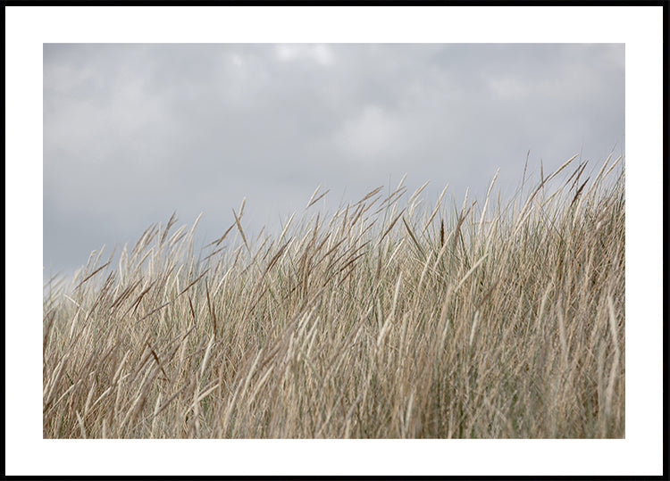 Duinen en wolken