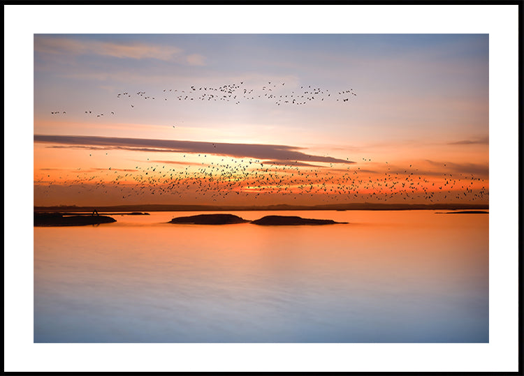 stad zonsondergang Poster