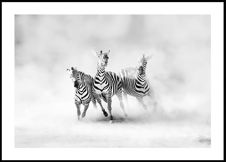 ZEBRA'S