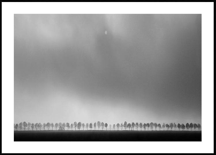 Polder landscape