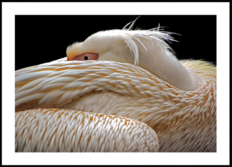 Om half in slaap te vallen...