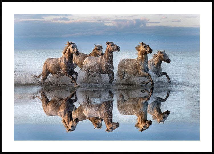 Paarden en reflectie