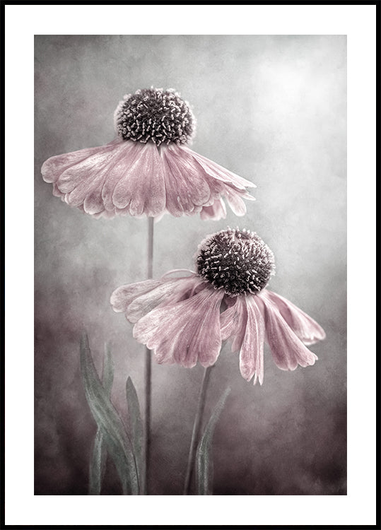 Duet-poster