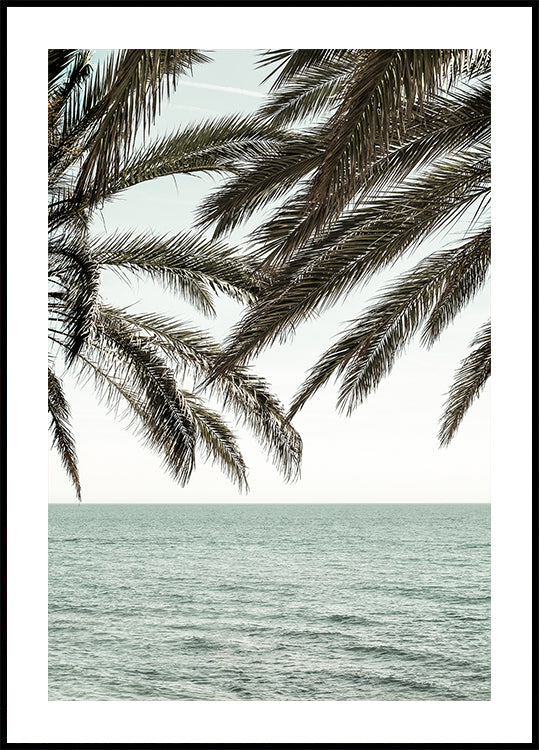 Solaris nr. 4-poster