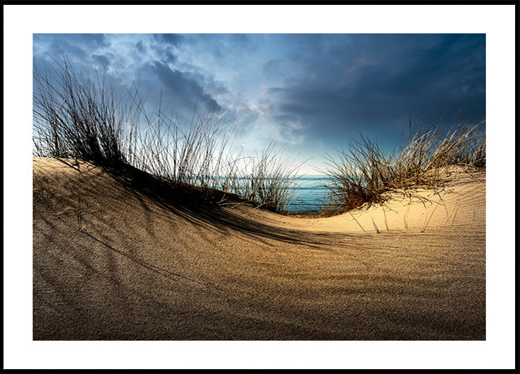 Duinen..........