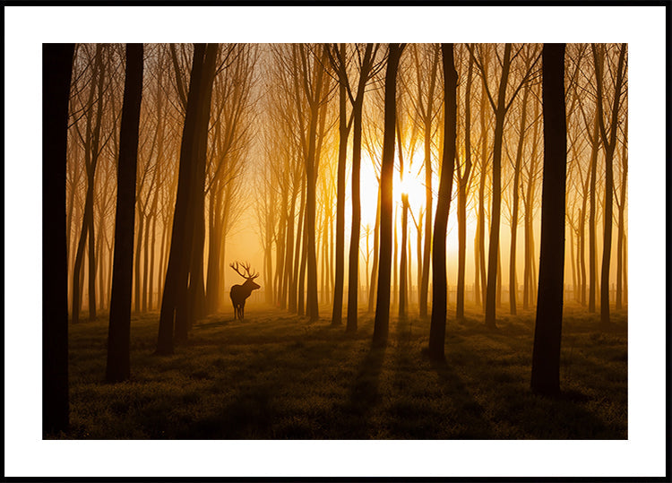 Er was eens een poster