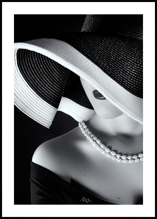 Elegantie in schaduwposter