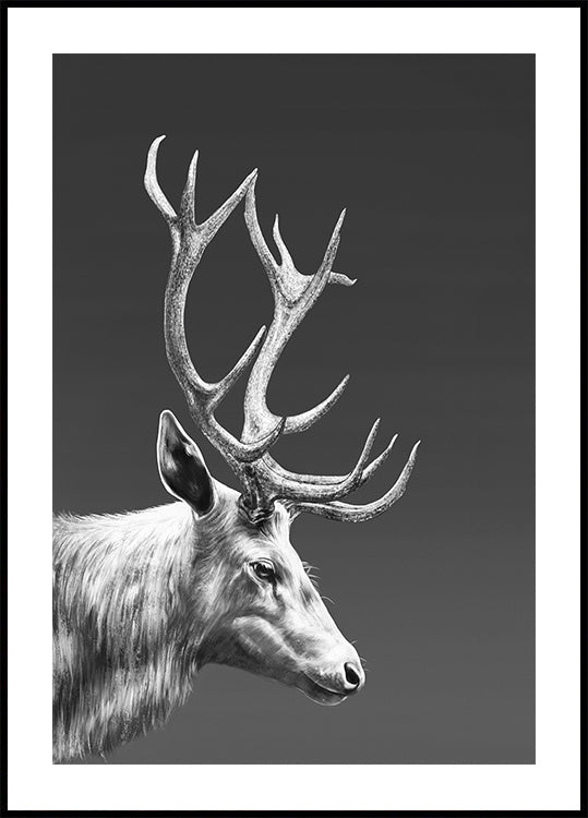 Rendierenposter