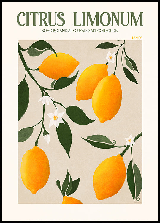 Gouden Citrus Verrukking Poster