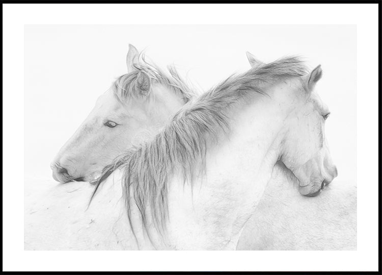 Paarden