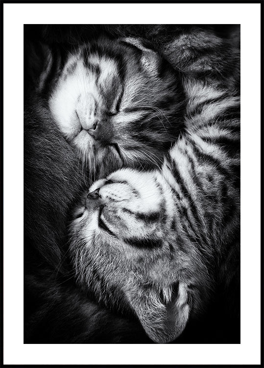 Yin en Yang
