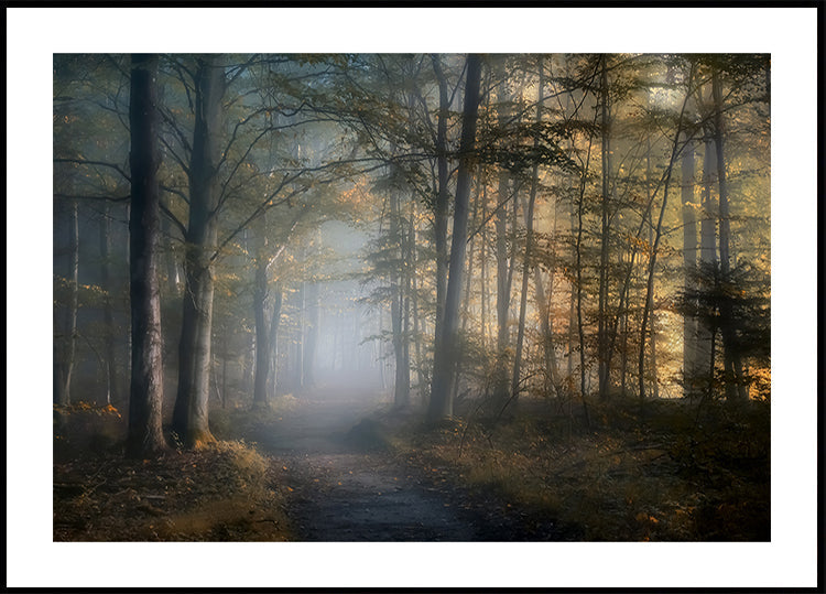 herfst symfonie Poster