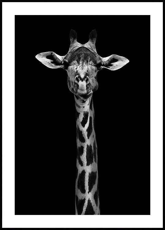 Girafportretposter