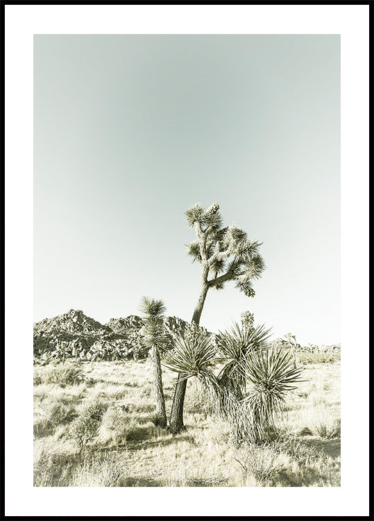 Joshua Tree Nationaal Park Vintage indruk poster