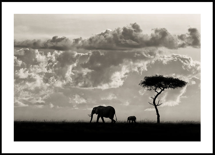 Silhouetten van Mara