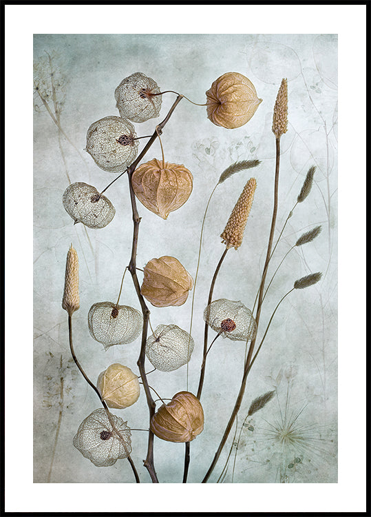 Lantaarns-poster