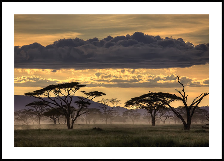 Goedenavond Tanzania
