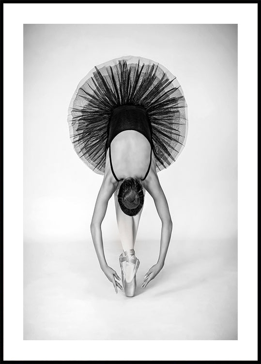 Ballet techniek poster