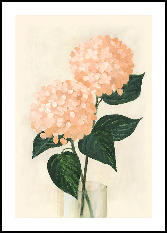 Koraal hortensia's in een vaas
