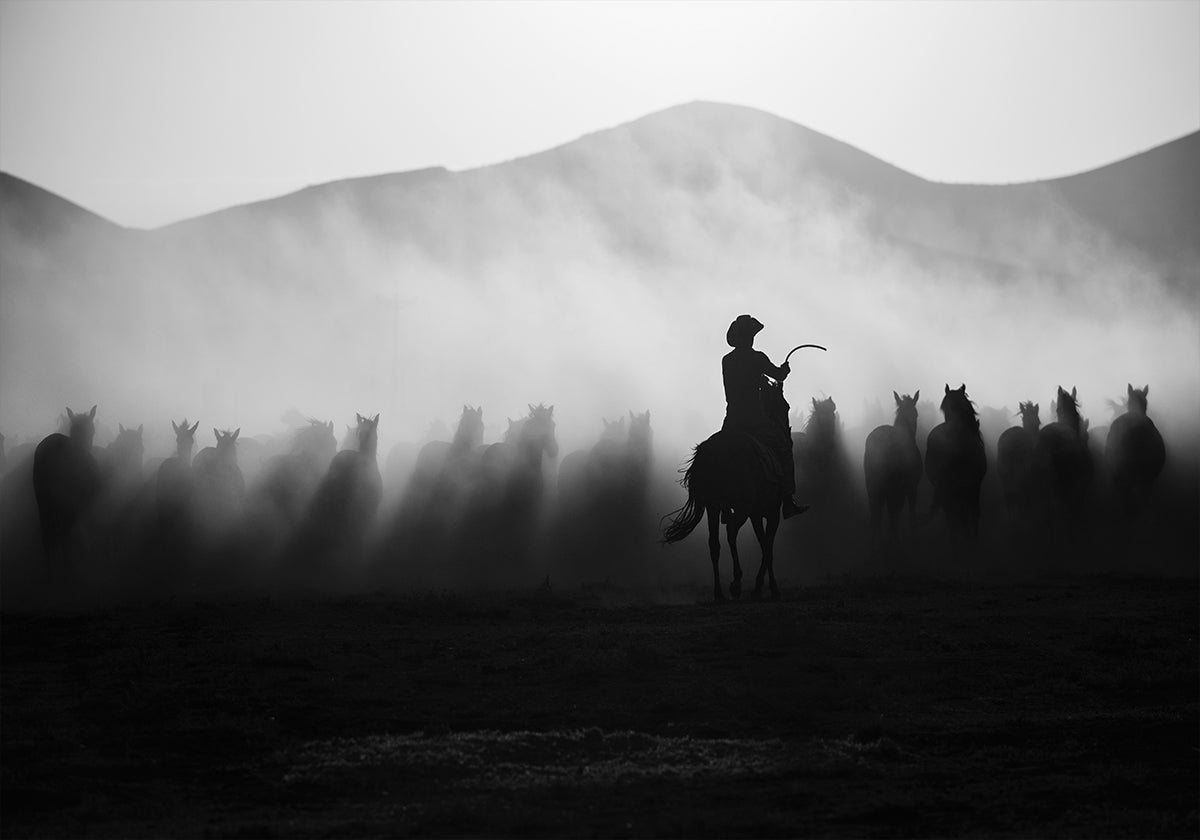 Op jacht naar de Jade's! Poster