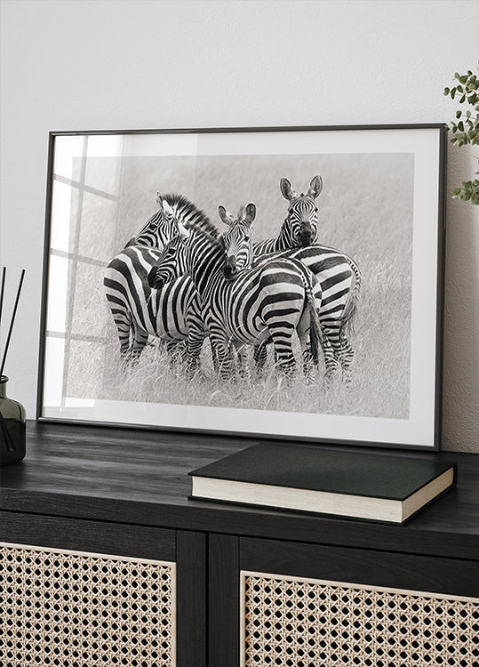 Zebra's