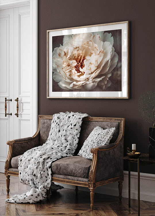 Bloemblaadjes van sereniteit